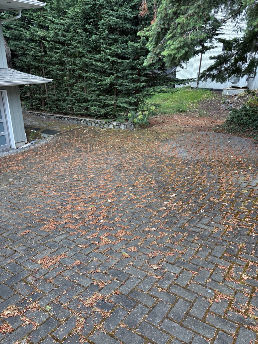 Paver driveway covered in leaves, moss, and grime before pressure washing